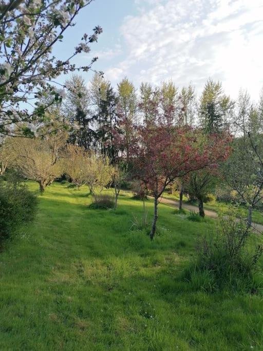 Chalet En Pleine Nature Au Bord D'Un Etang Lanvallay Eksteriør billede