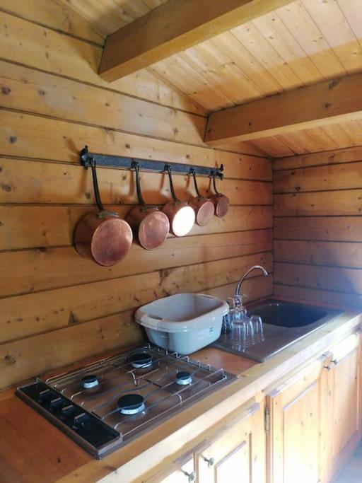 Chalet En Pleine Nature Au Bord D'Un Etang Lanvallay Eksteriør billede
